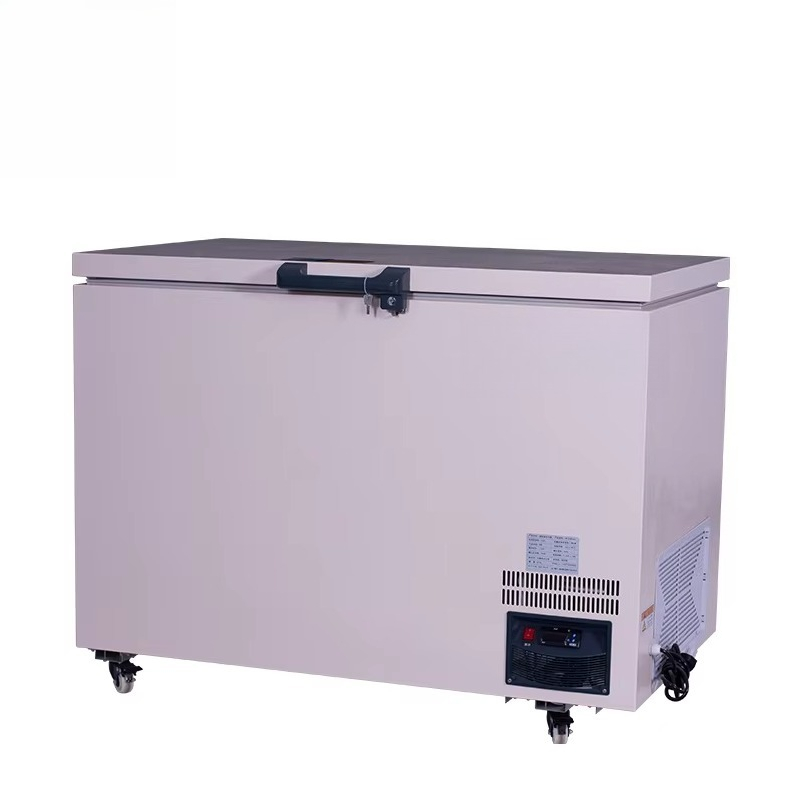 268L -60 ℃   초저온 냉동고 (해산물, 육류, - Commercial Chest Freezer 리뷰 및 가격